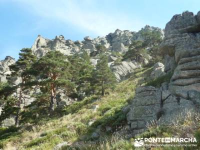 Senda Herreros - Puerto de Navacerrada - Valle de Fuenfría - Ducha de los Alemanes -Embalse Berceas